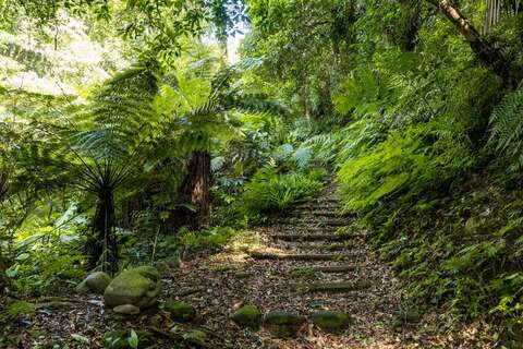 康莊休閒農業區