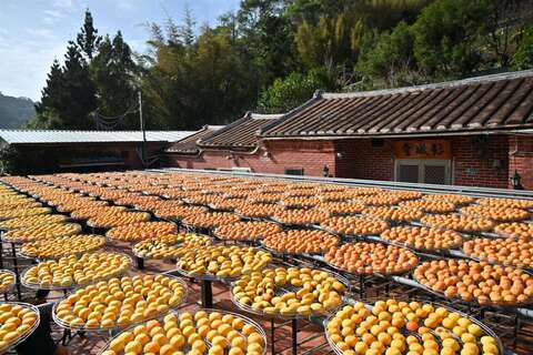 大墩山休閒農業區
