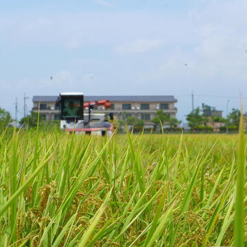 宜蘭縣壯圍鄉 - 新南休閒農業區
