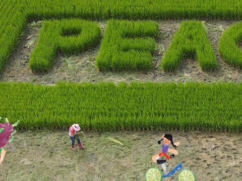 斗苑休閒農業區