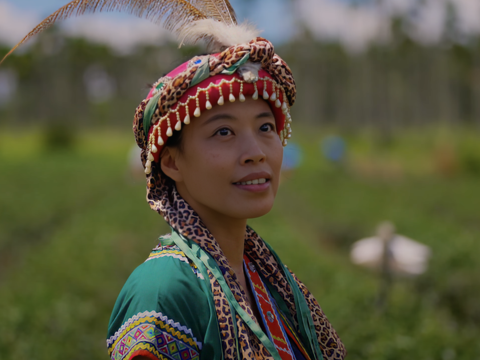 舞鶴茶園 公主咖啡