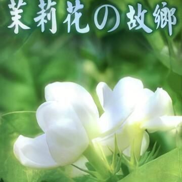 茉莉花的故鄉