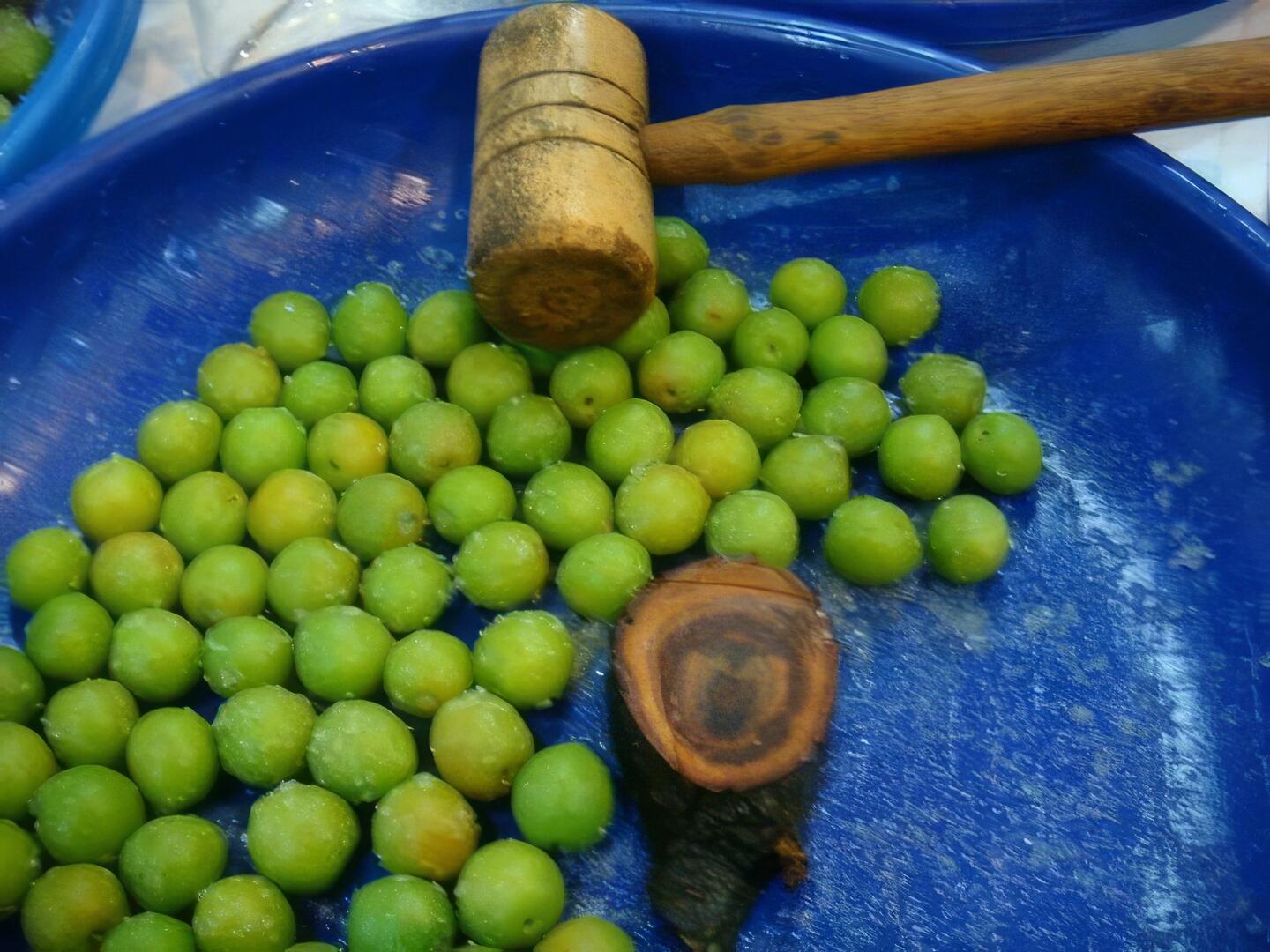 茶與梅的對話-製梅(脆梅或梅子酵素)DIY