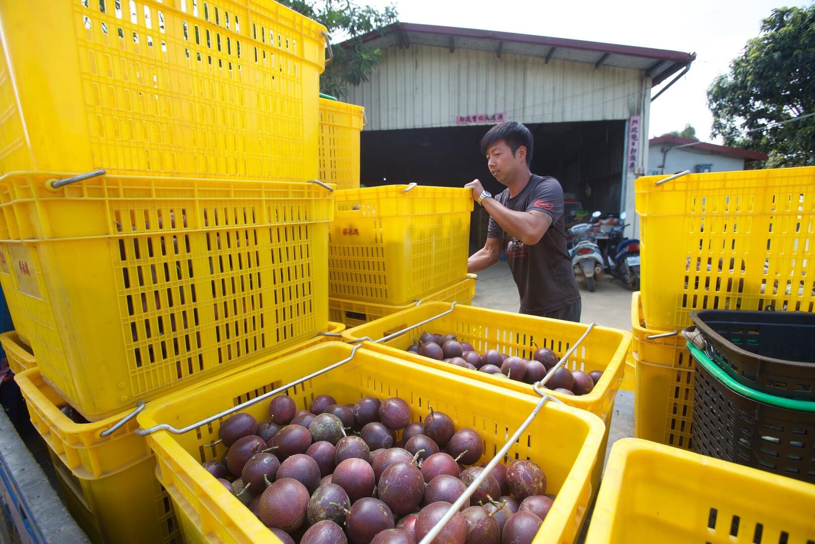 【宅家生鮮購-熱情果大本舖：百香果】