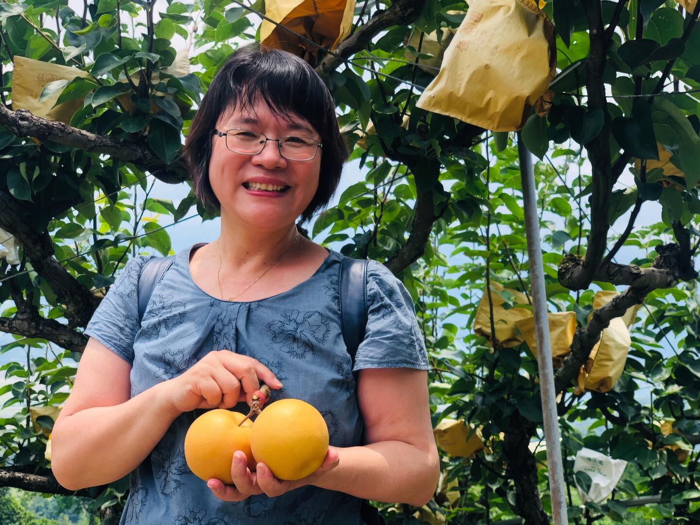 【宅家生鮮購-炳智果園：上將梨禮盒】