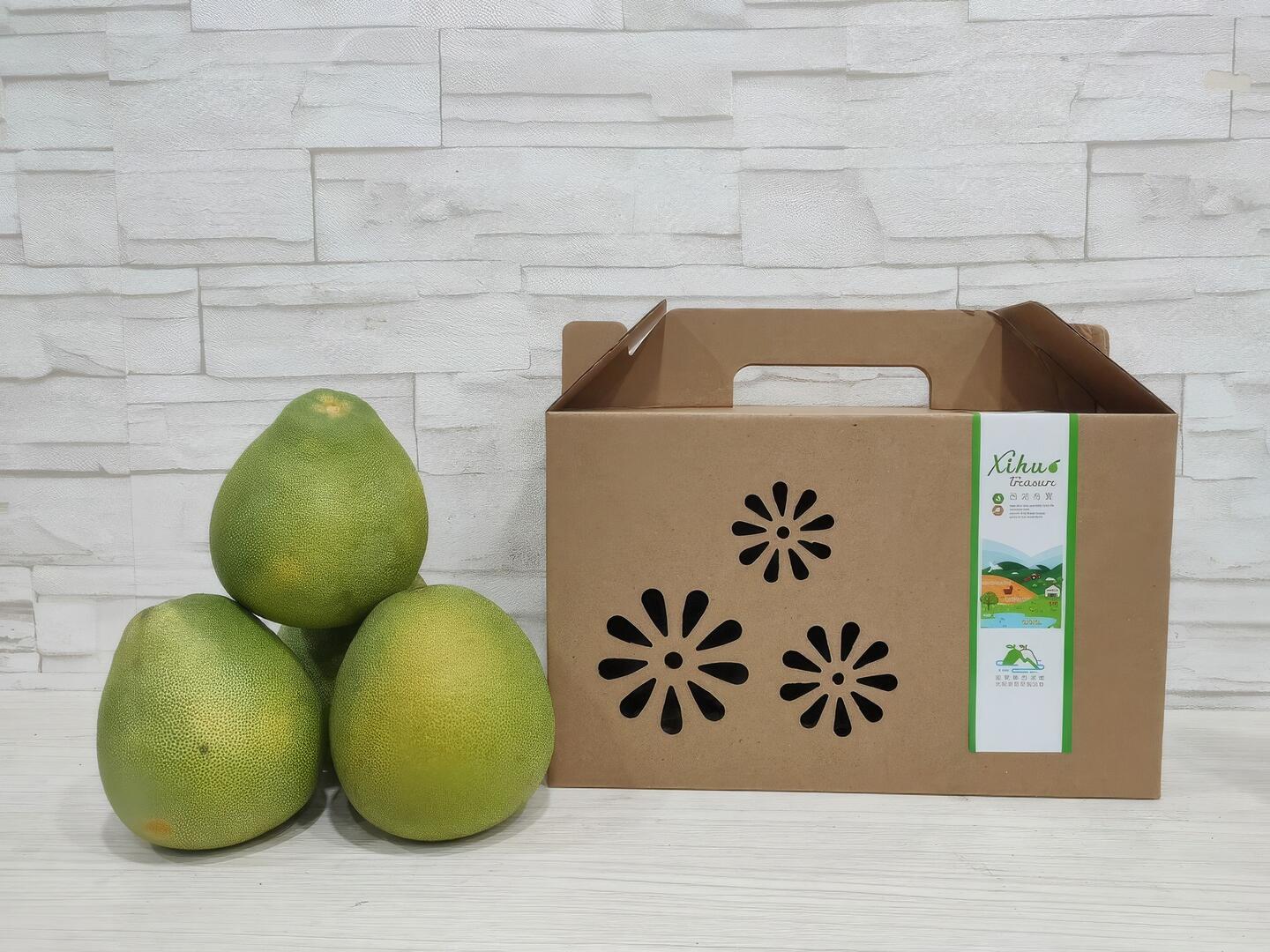 西湖有寶柚子禮盒