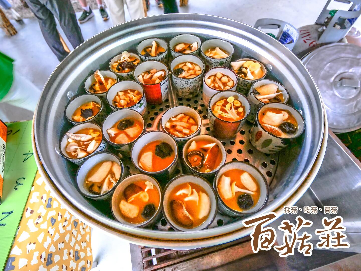 2022菇類生態循環再生體驗活動-菇菇茶碗蒸｜新社百菇莊