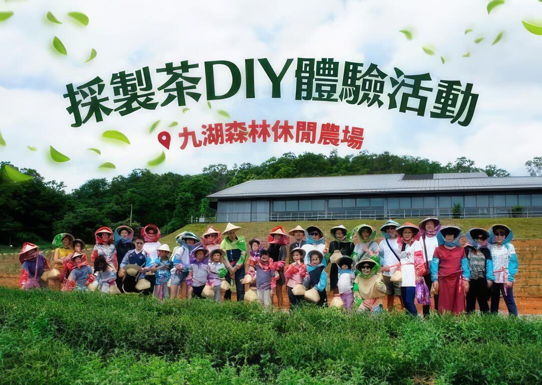 採製茶DIY體驗活動－農業易遊網