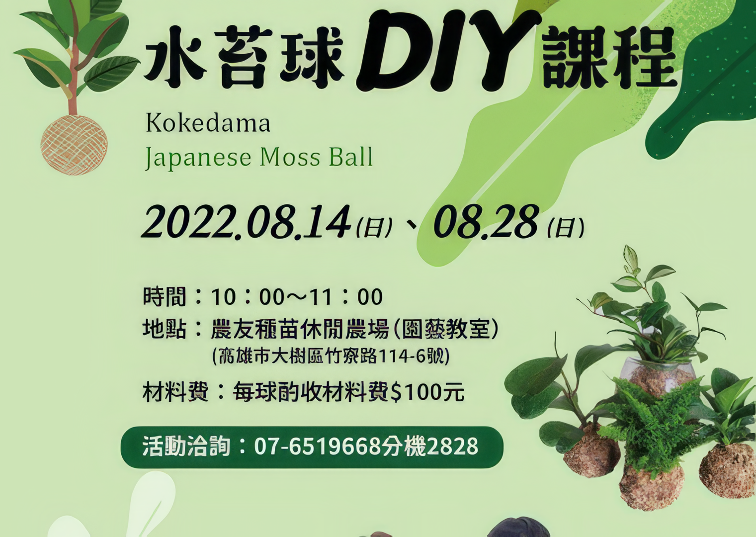 水苔球盆栽DIY課程
