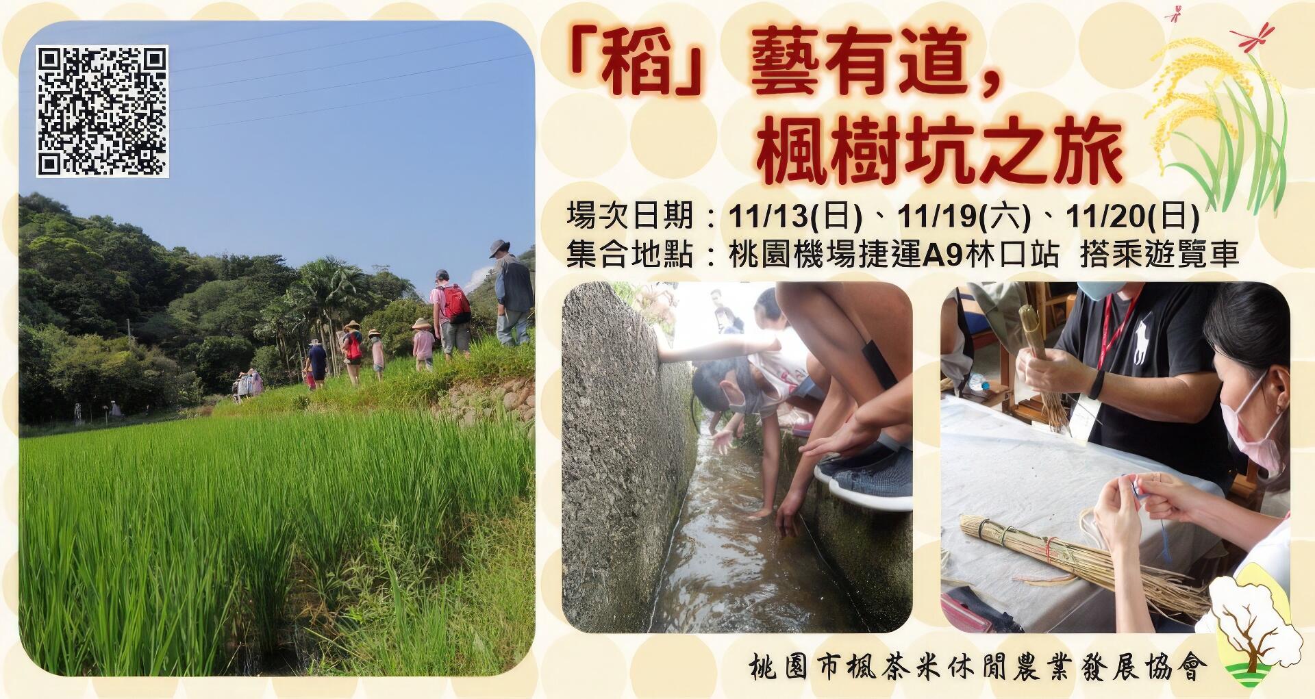 「稻」藝有道，楓樹坑之旅
