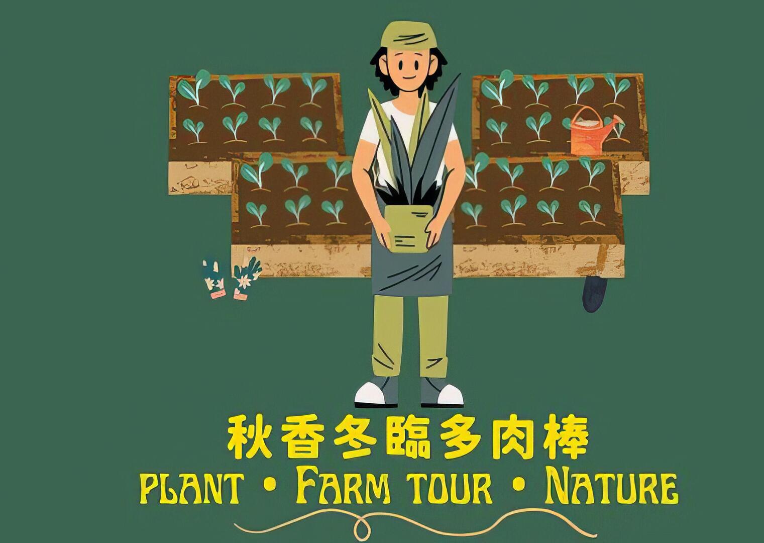 秋香冬臨多肉棒