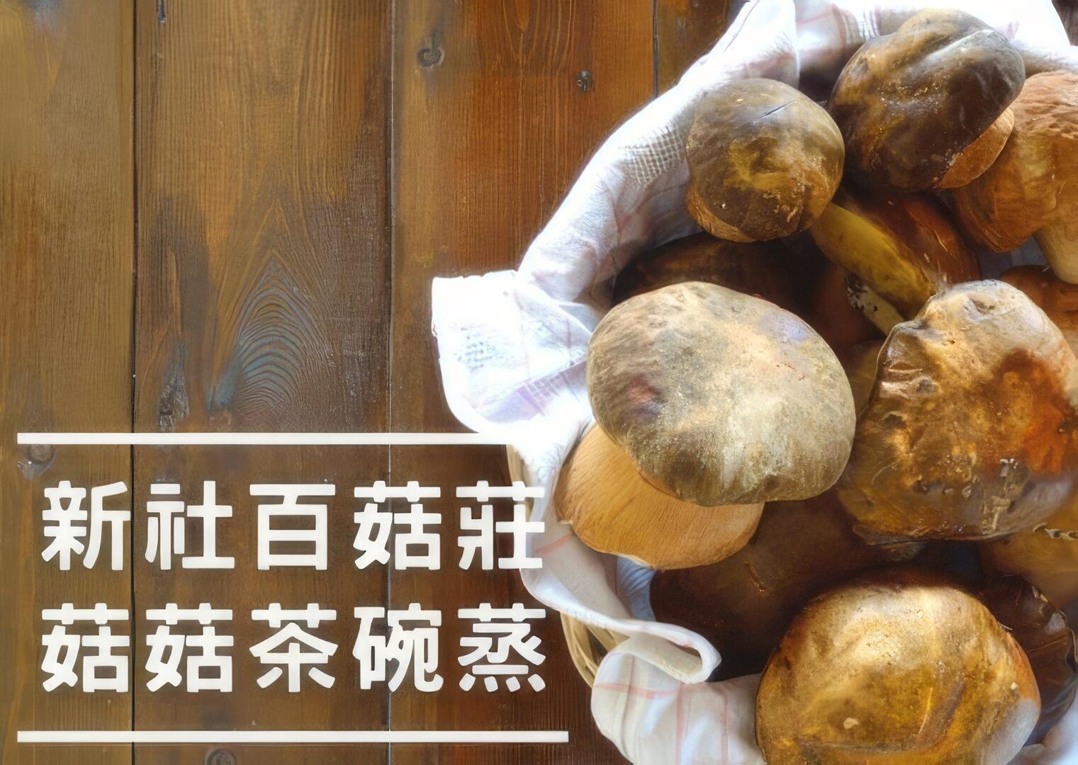 2023菇類生態食農教育體驗活動│菇菇茶碗蒸 (三月場)