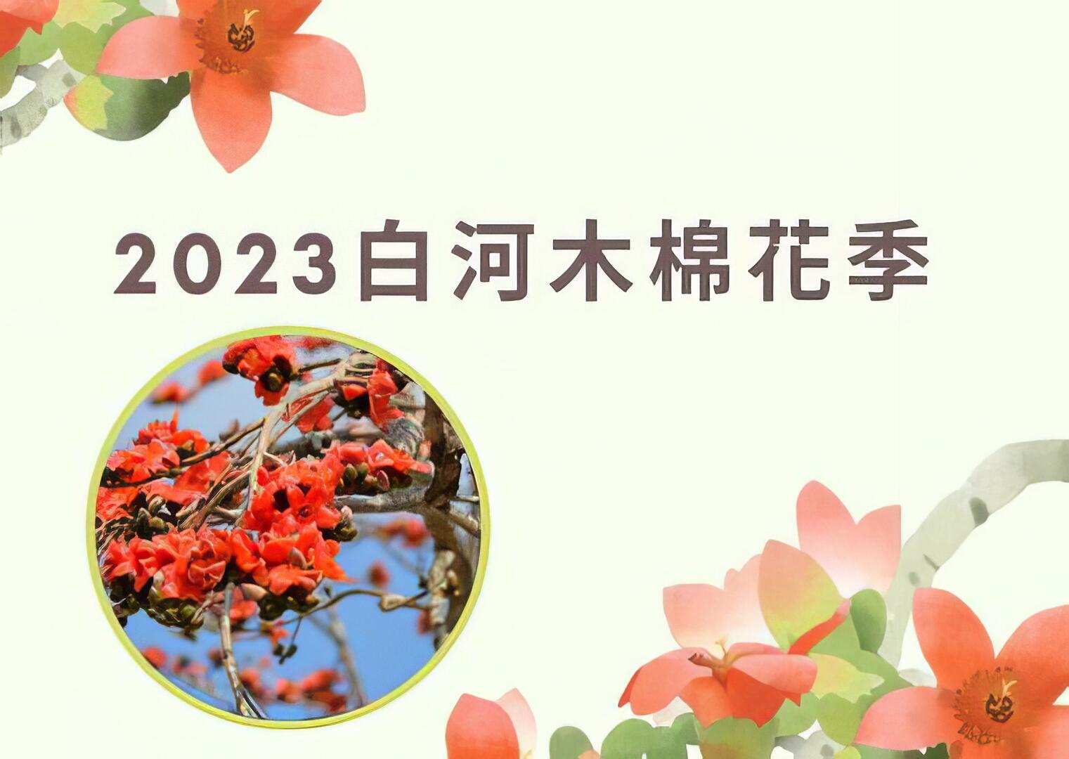 2023白河木棉花季