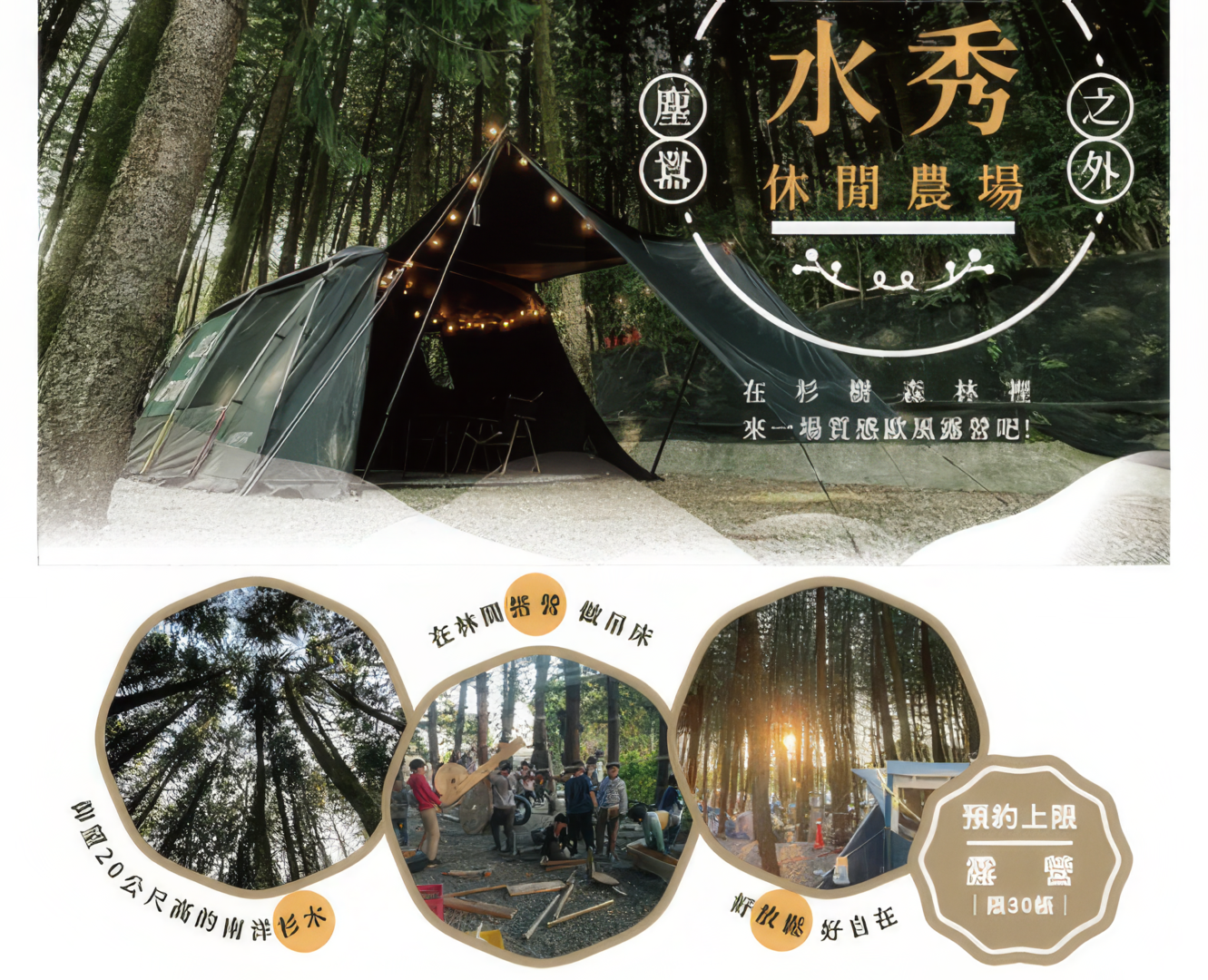 在杉樹森林裡來一場質感歐風露營吧