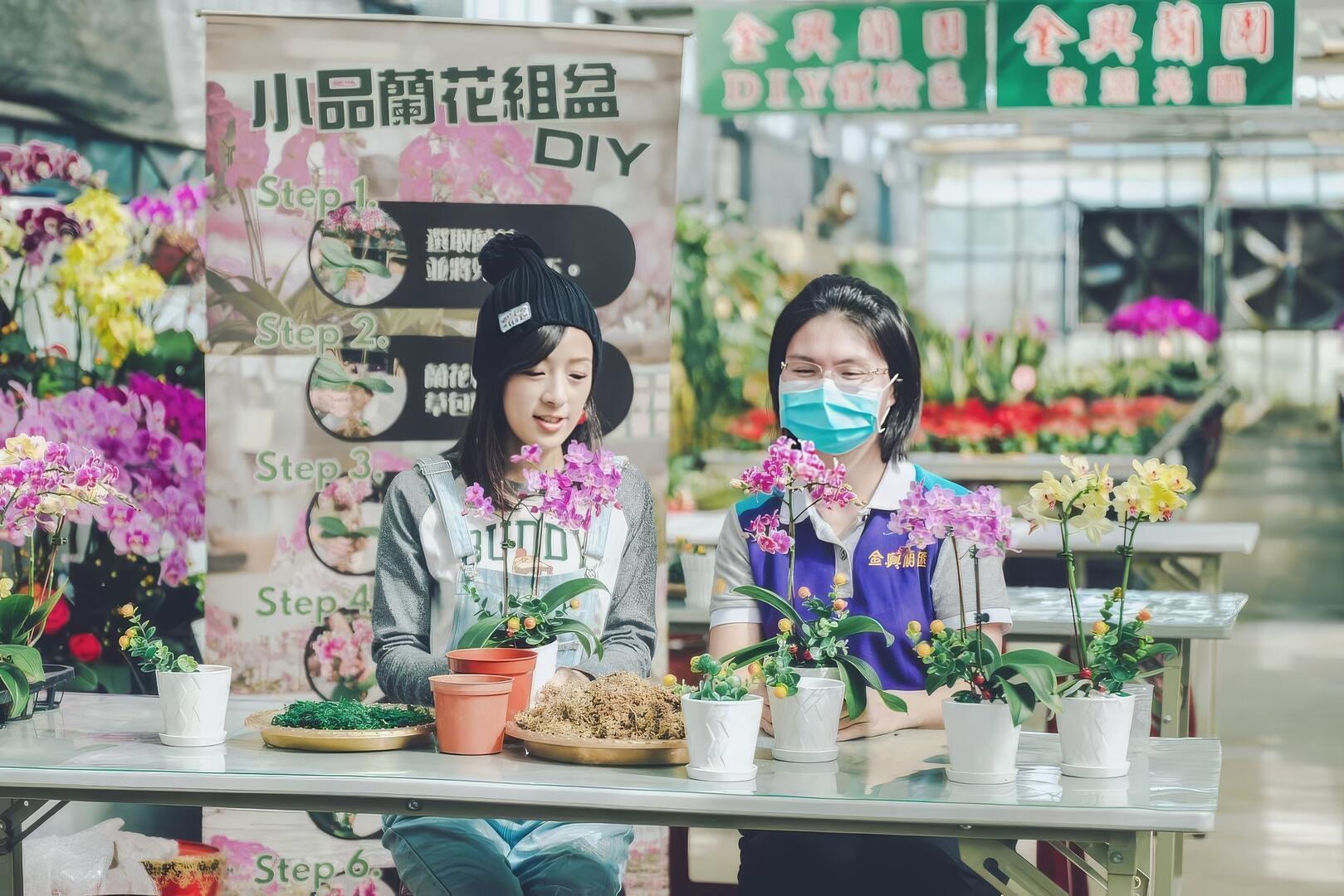 2024大溪水岸花卉農遊周邊活動