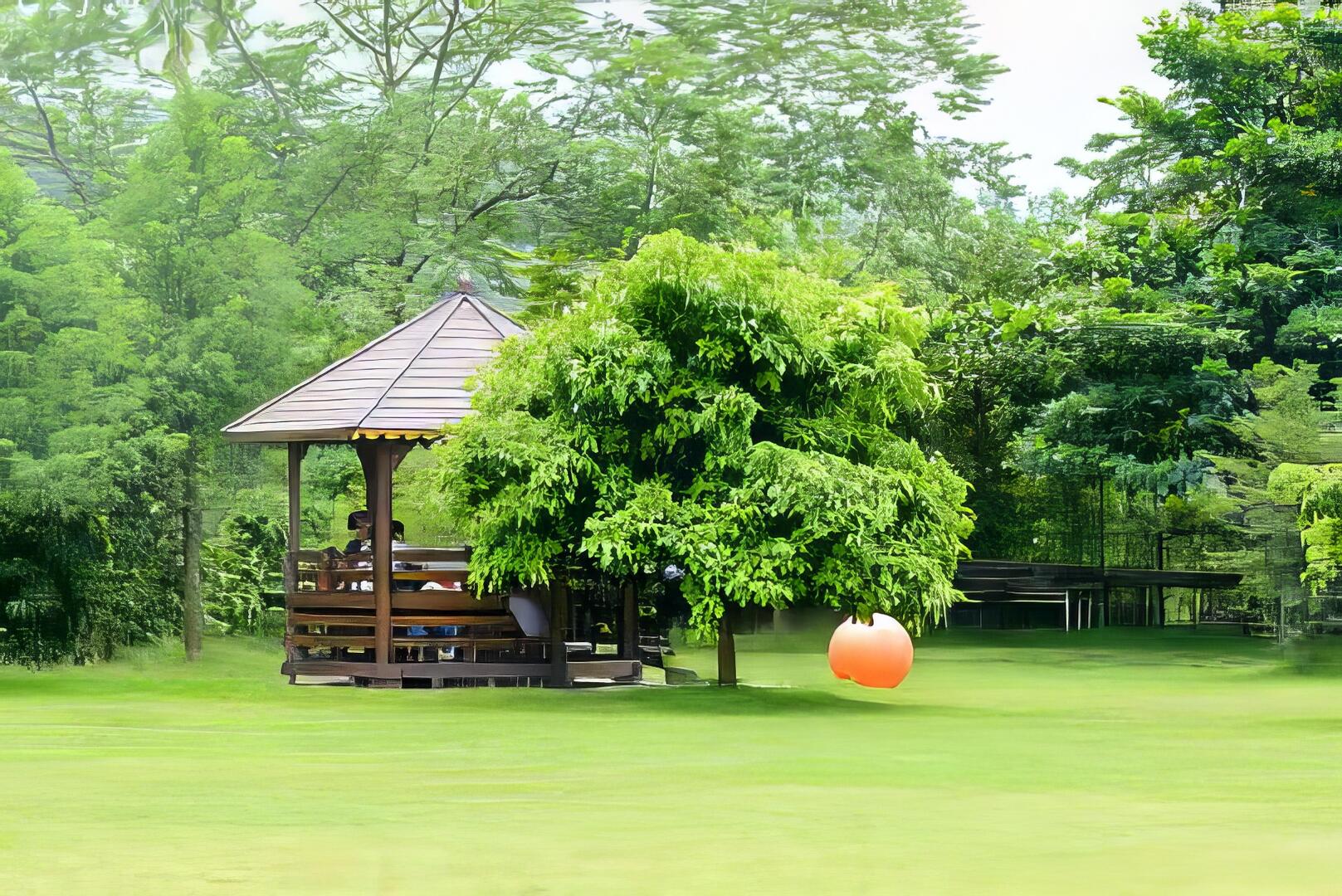 親子遊沿山，南台灣的假日放風之旅