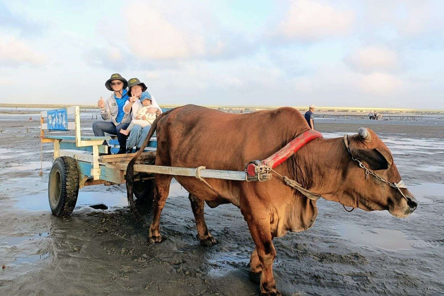 漁海有約：海牛採蚵日記