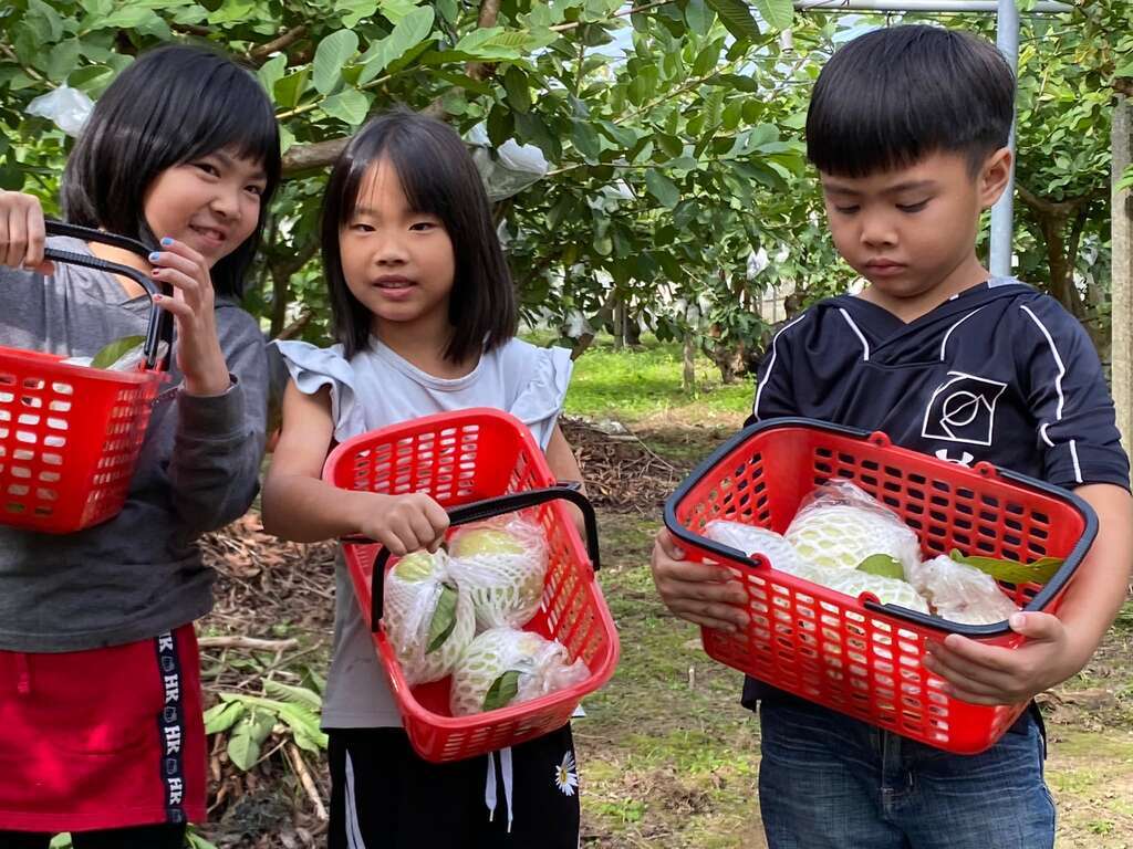 2025蛇來運轉｜南部篇：從新開始 感受南台暖暖人情