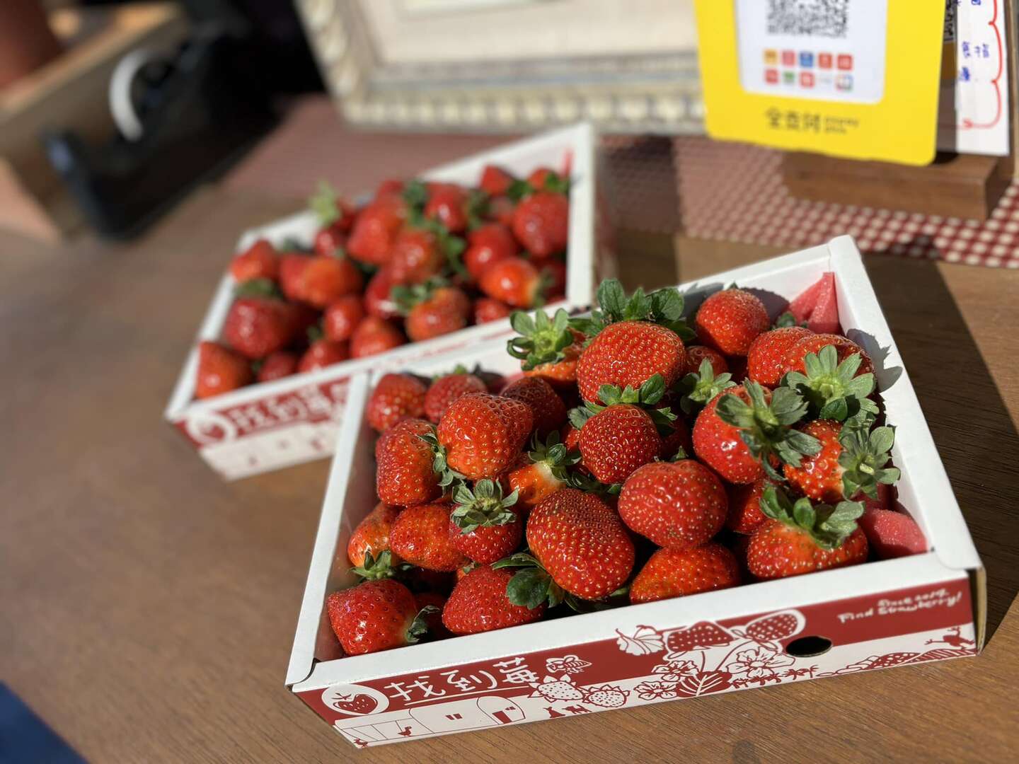 🍓漫遊康莊~尋莓季🍓