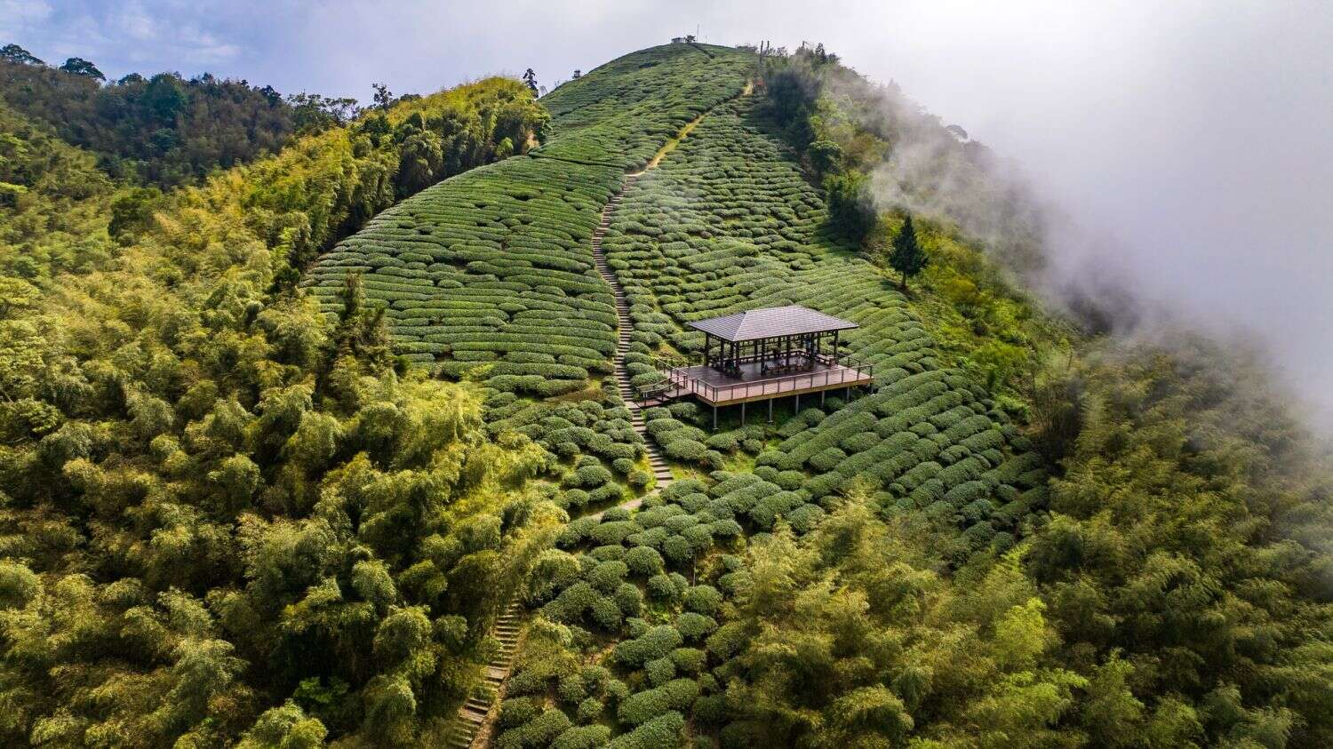 走讀農村：嘉義梅山 拜訪雲海的故鄉