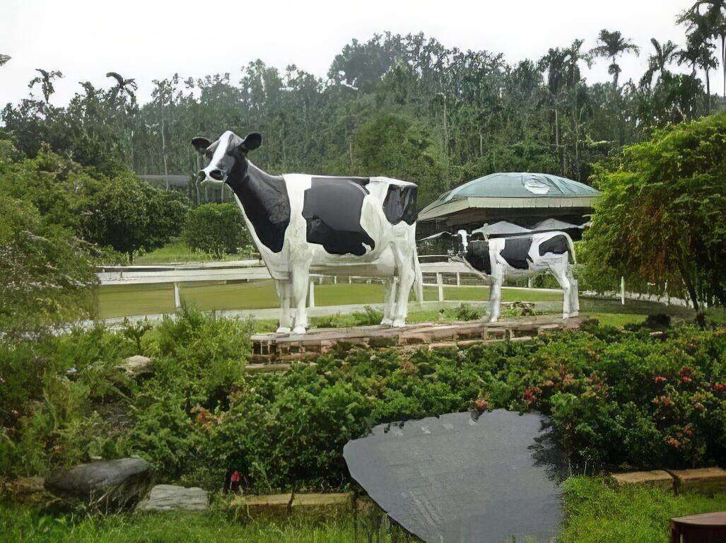 小旅樸食：鮮乳