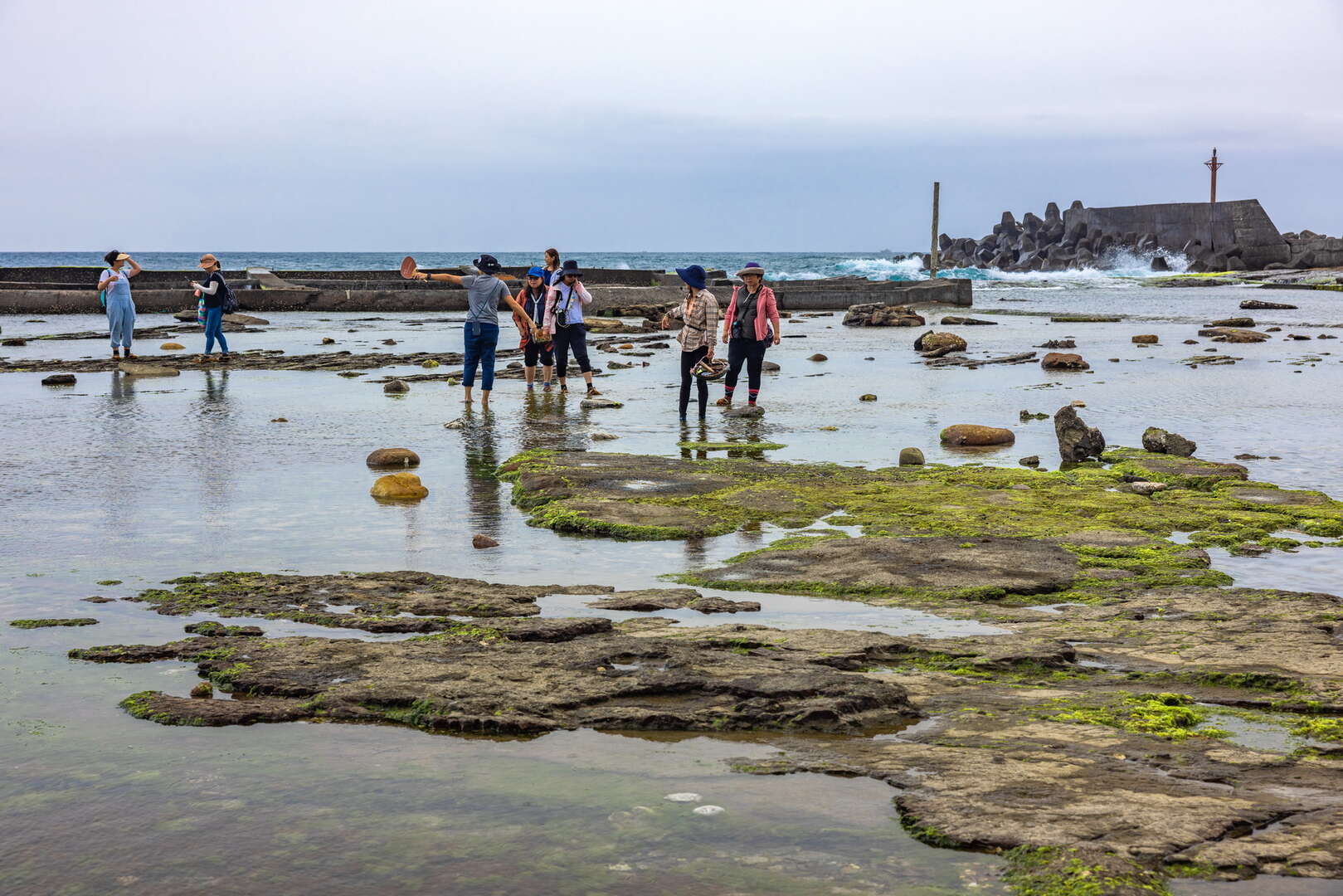 小旅樸食：石花凍