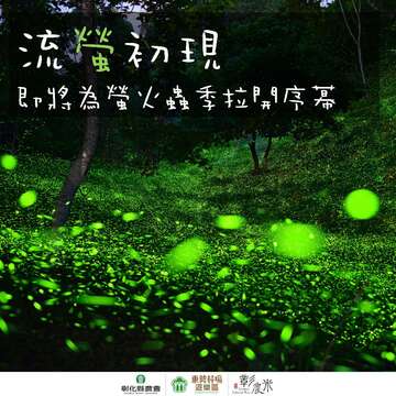 2025流螢初現_圖片取自東勢林場遊樂區