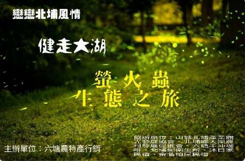 2025 健走大湖 螢火蟲生態之旅_圖取自北埔六塘石柿餅-落羽松