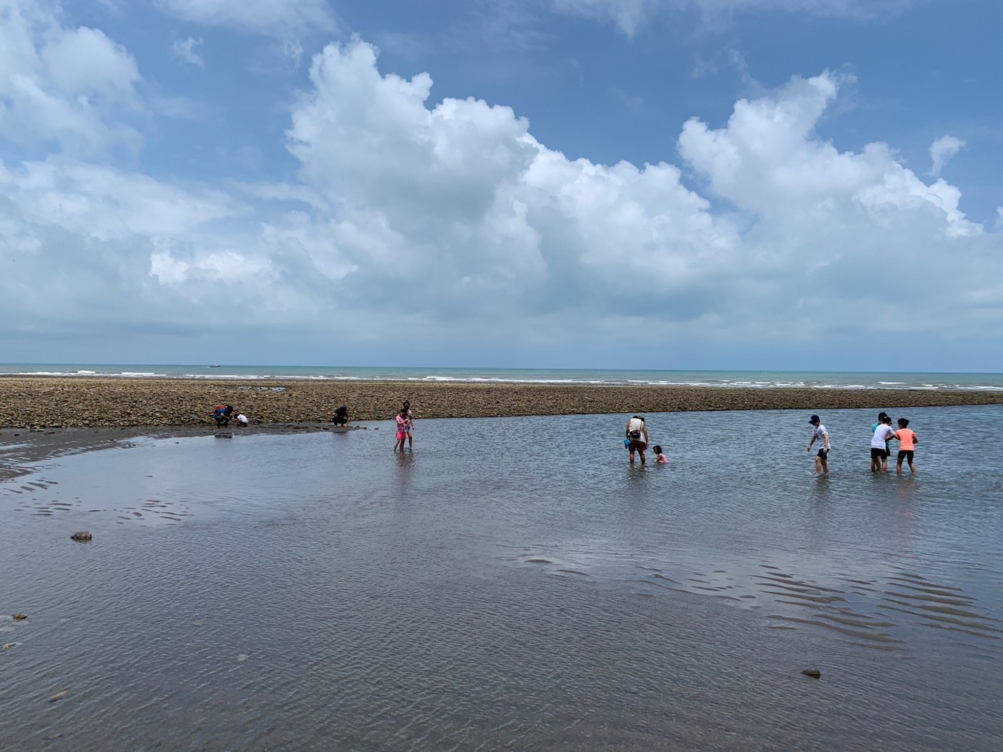 2025魚米香芋在大甲食農及永續體驗(07/18場次)