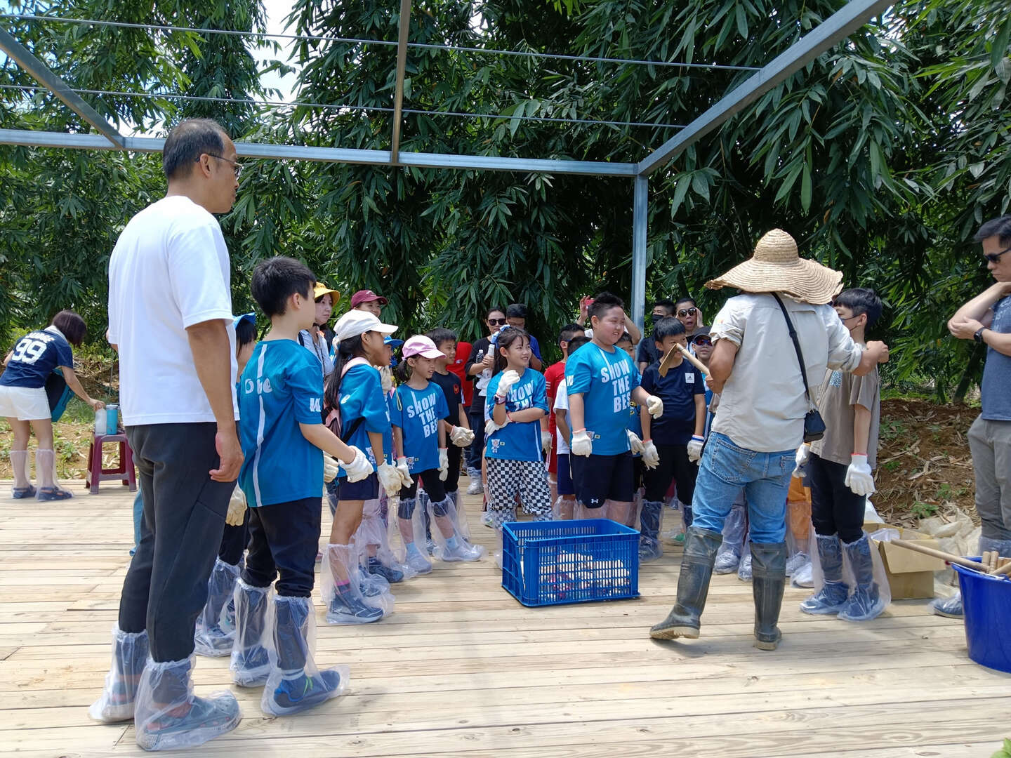 114年桃米麻竹挖筍季