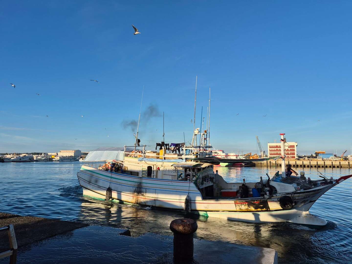 澎湖魚市場導覽
