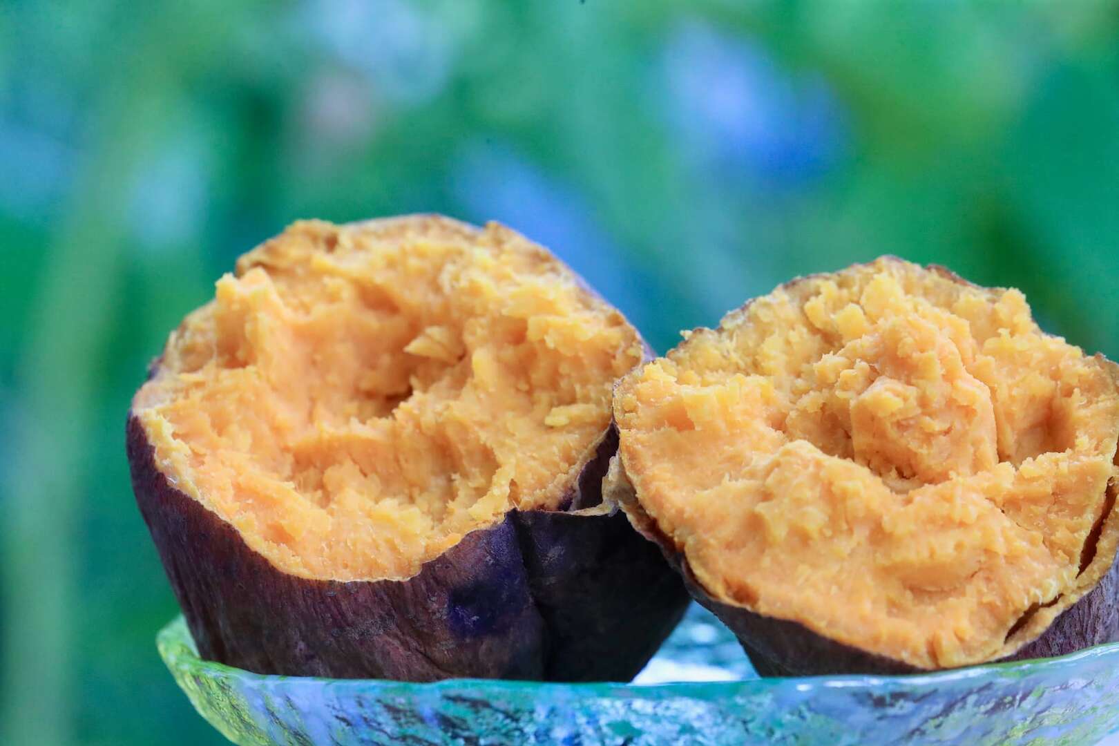 金山汪汪地瓜園