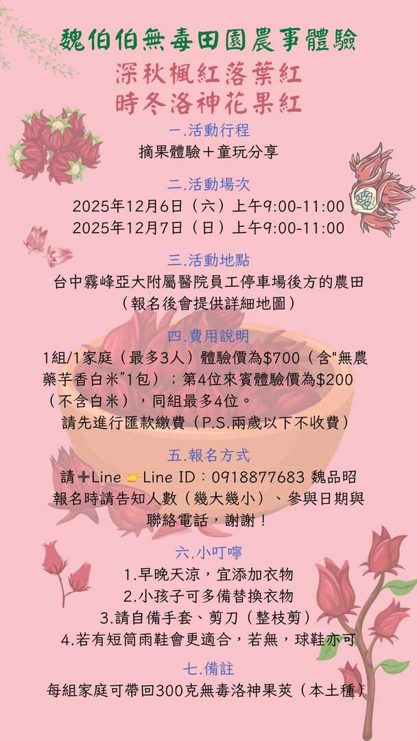 魏伯伯無毒田園農事體驗｜深秋楓紅落葉紅，時冬洛神花果紅