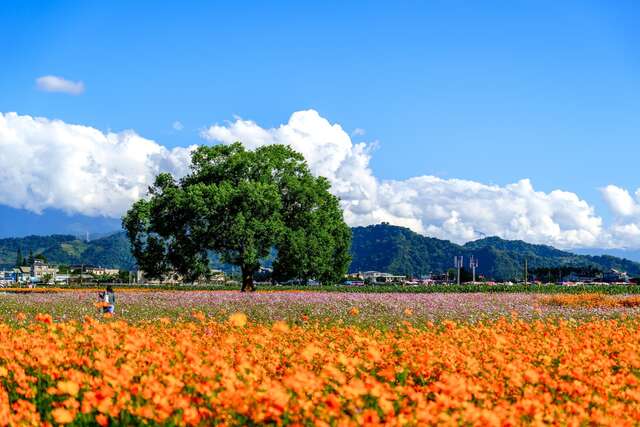 2026 Events－Taiwan Agriculture Tourism