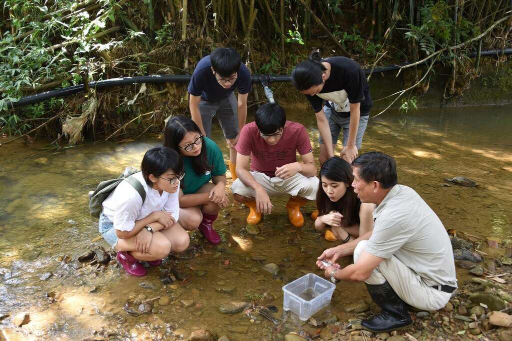 Sun-Moon-Lake Taomi  Leisure Agricultural Area Ecological Experience