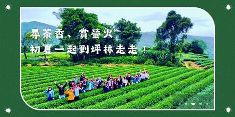 2026 尋茶香、賞螢火，初夏一起到坪林走走_取自茶裡相逢活動通