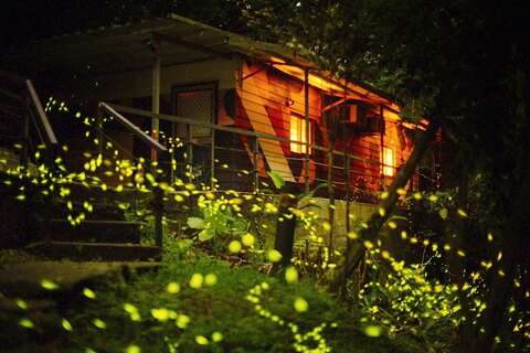 雙溪平林休閒農場｜螢火閃閃在平林_取自螢火閃閃在平林報名表