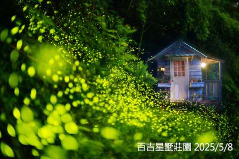 桃園大溪螢火蟲季_百吉星墅莊園