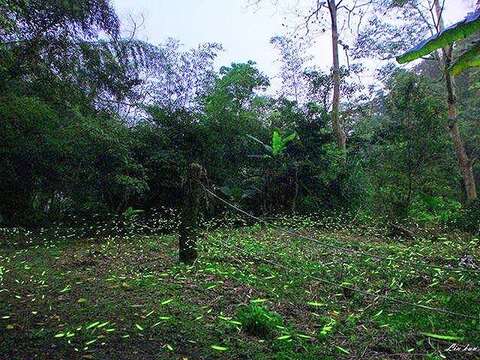 取自山板樵休閒農場官網