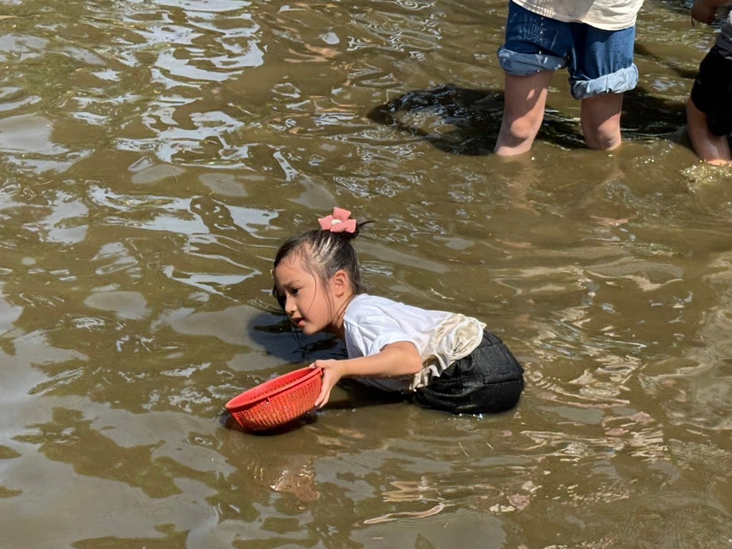 2026好蜆你有來葡萄食農永續體驗－農業易遊網