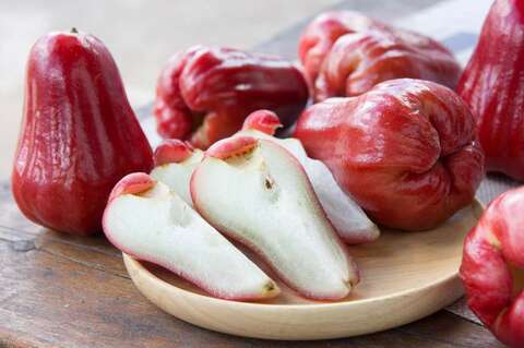 480x360_fruit-image-