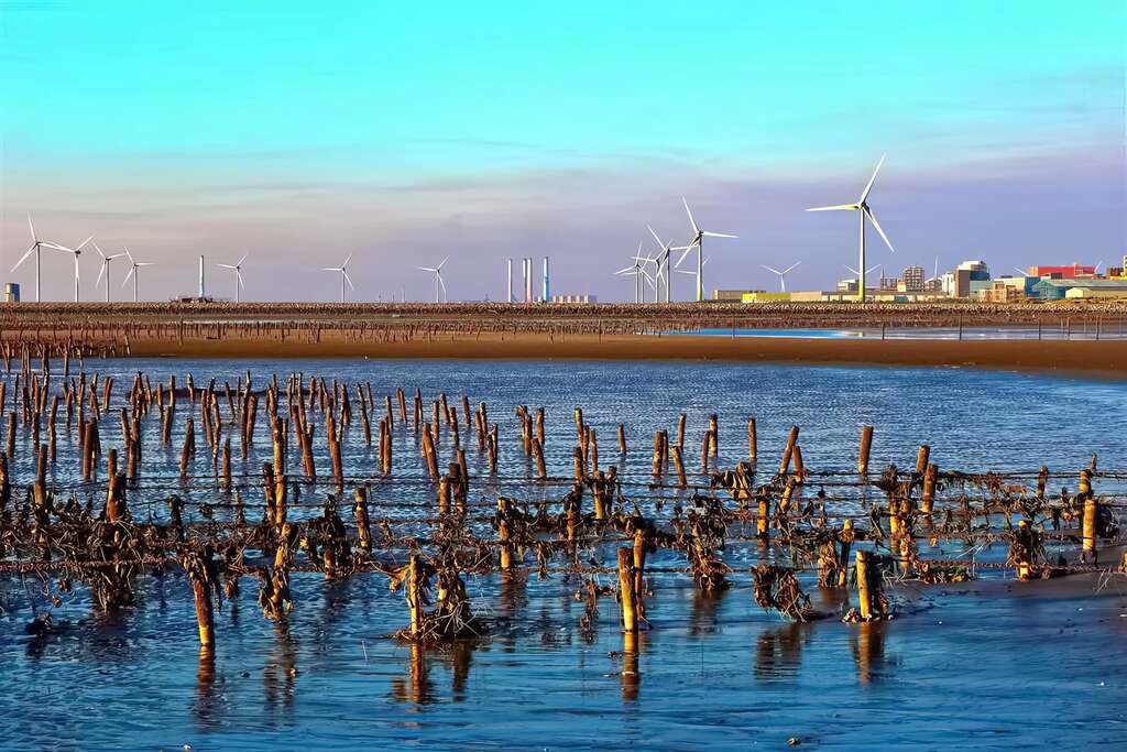 【彰化景點】品嘗新鮮海味、暢遊海洋食農基地、體驗傳統海牛文化，彰化玩海路線攻略。