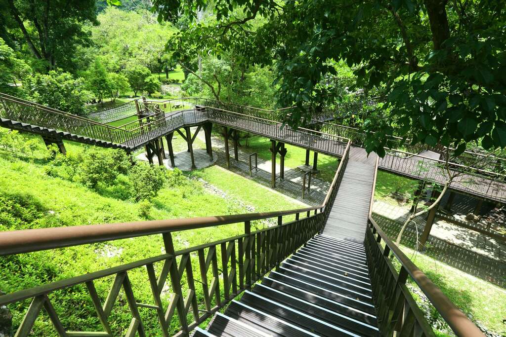 森林療育：知本國家森林遊樂區