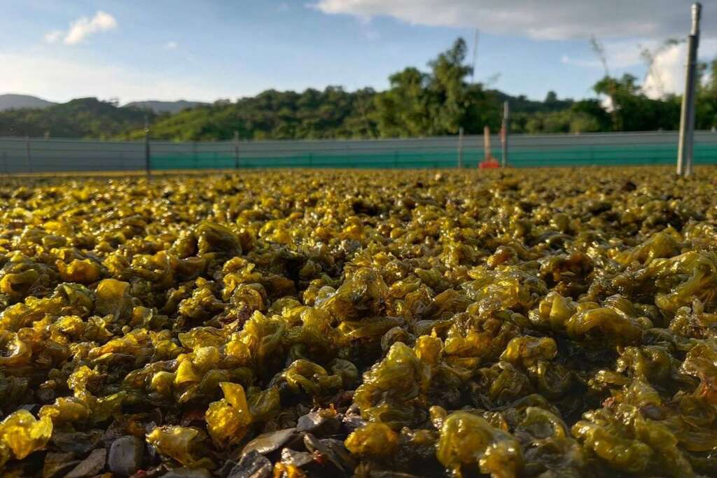 走讀農村：屏東滿州
