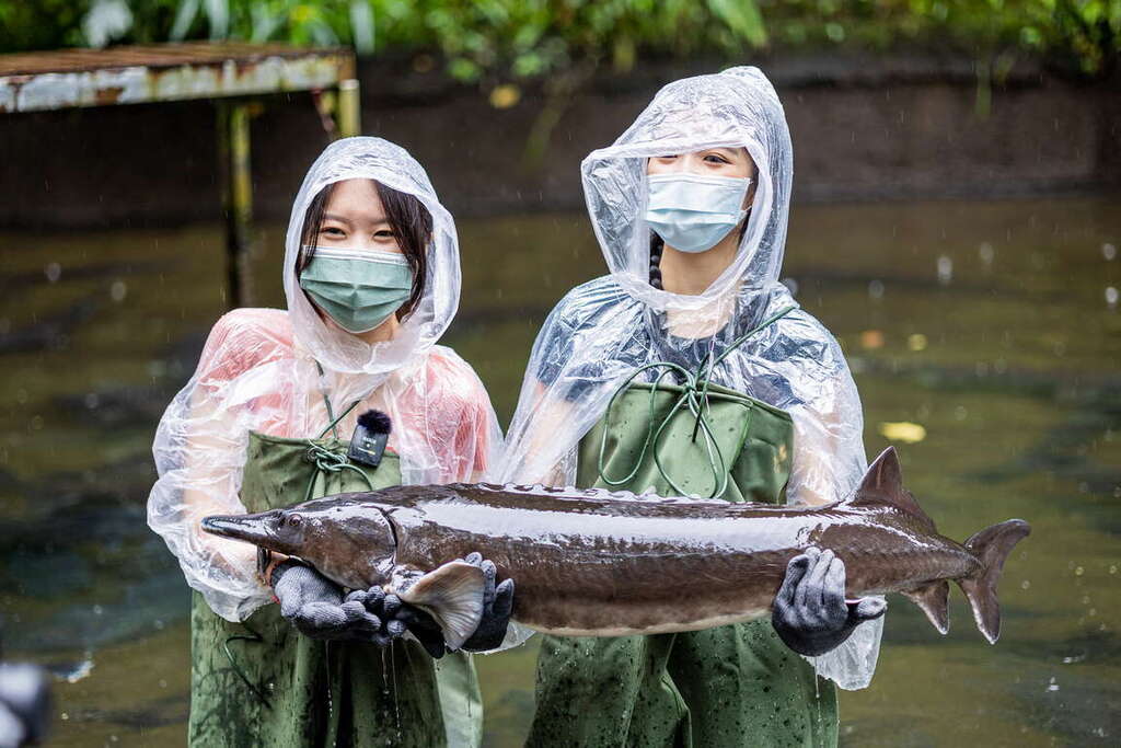 我的鮮遊記--以魚聞名的千戶傳奇生態農場