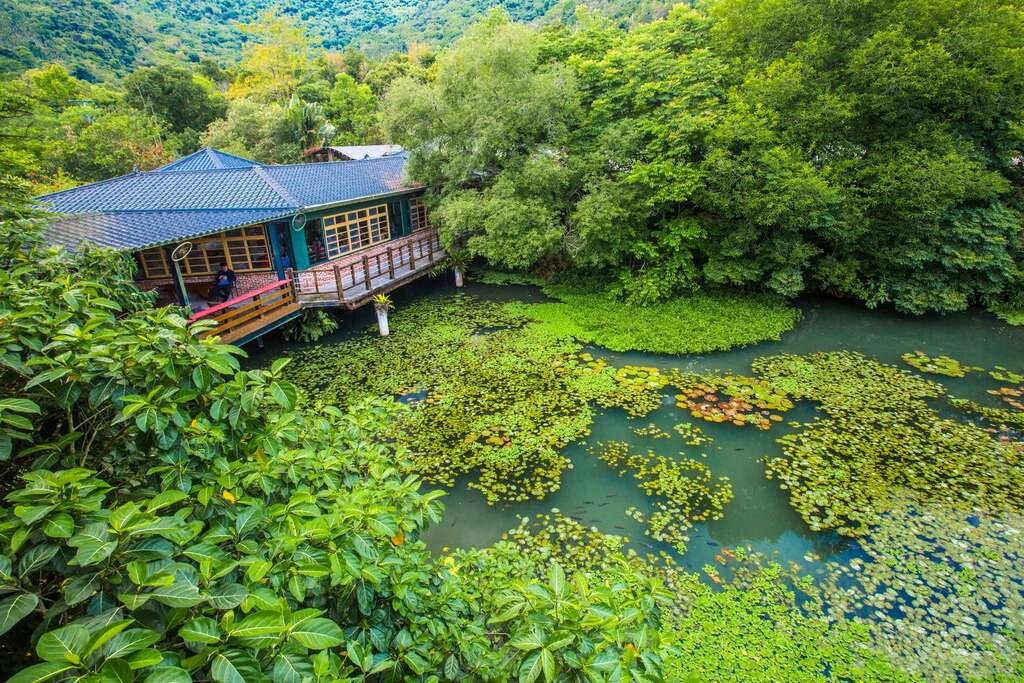 我的鮮遊記--走進花蓮欣綠農園：探索濕地生態與阿美族文化