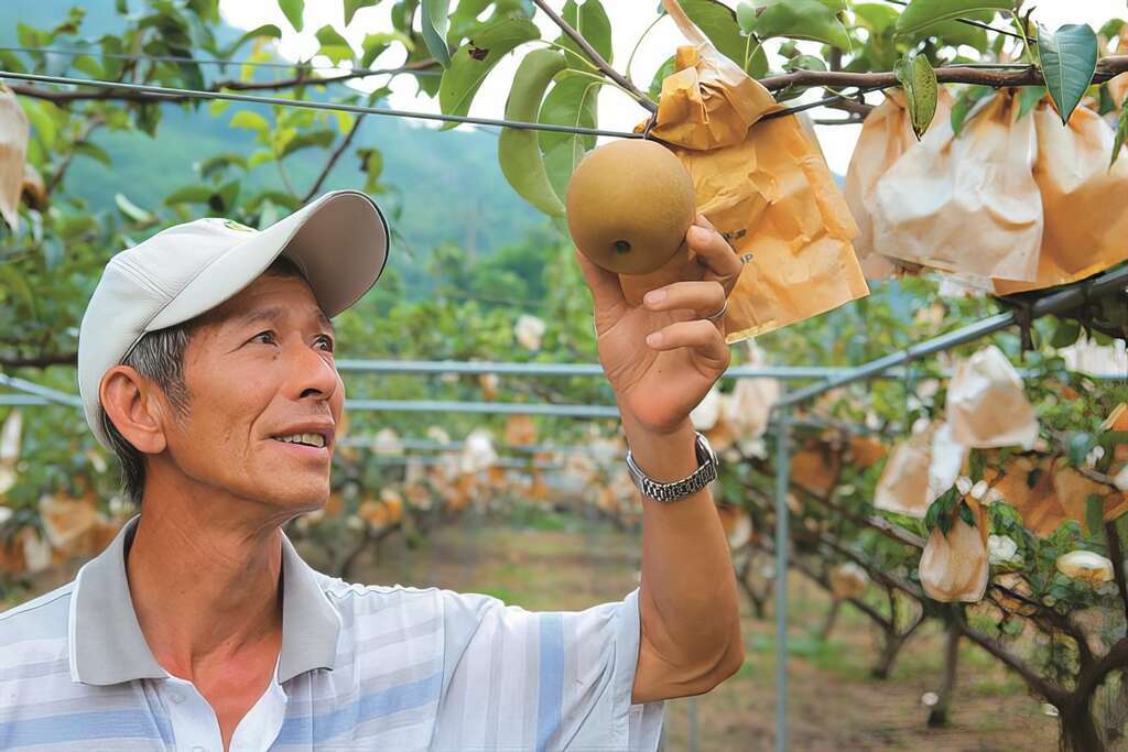 我的鮮遊記--採果染布泡冷泉　一日樂遊軟埤坑