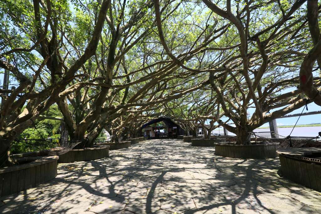 東港榕樹公園(圖片來源：千享國際)